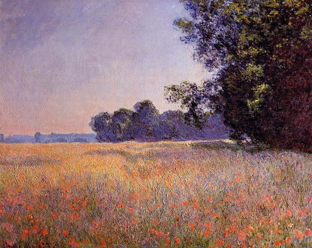 Poppy Field Giverny